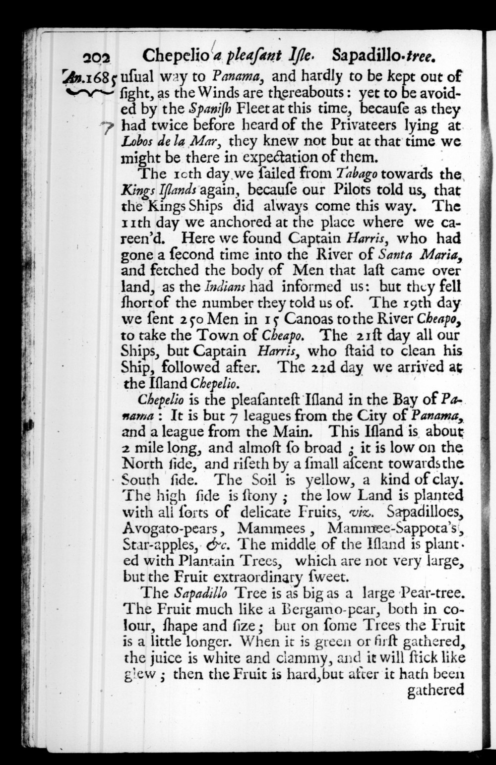 Page 202 screenshot of the book A New Voyage Round the World by William Dampier (1697 Edition).