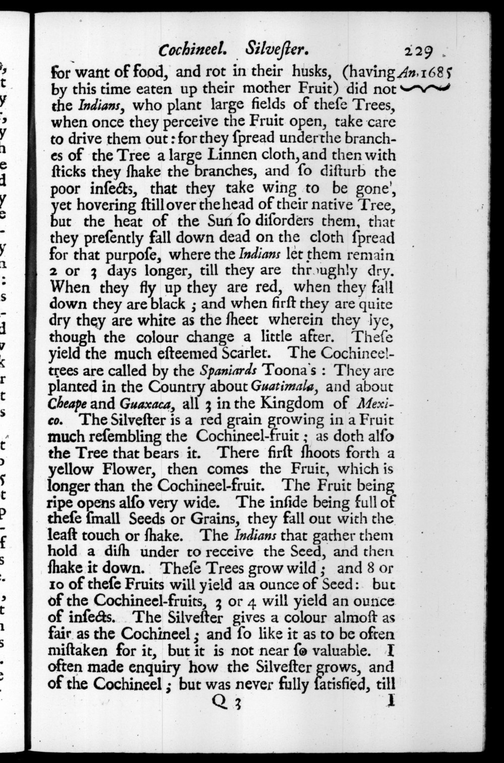 Page 229 screenshot of the book A New Voyage Round the World by William Dampier (1697 Edition).