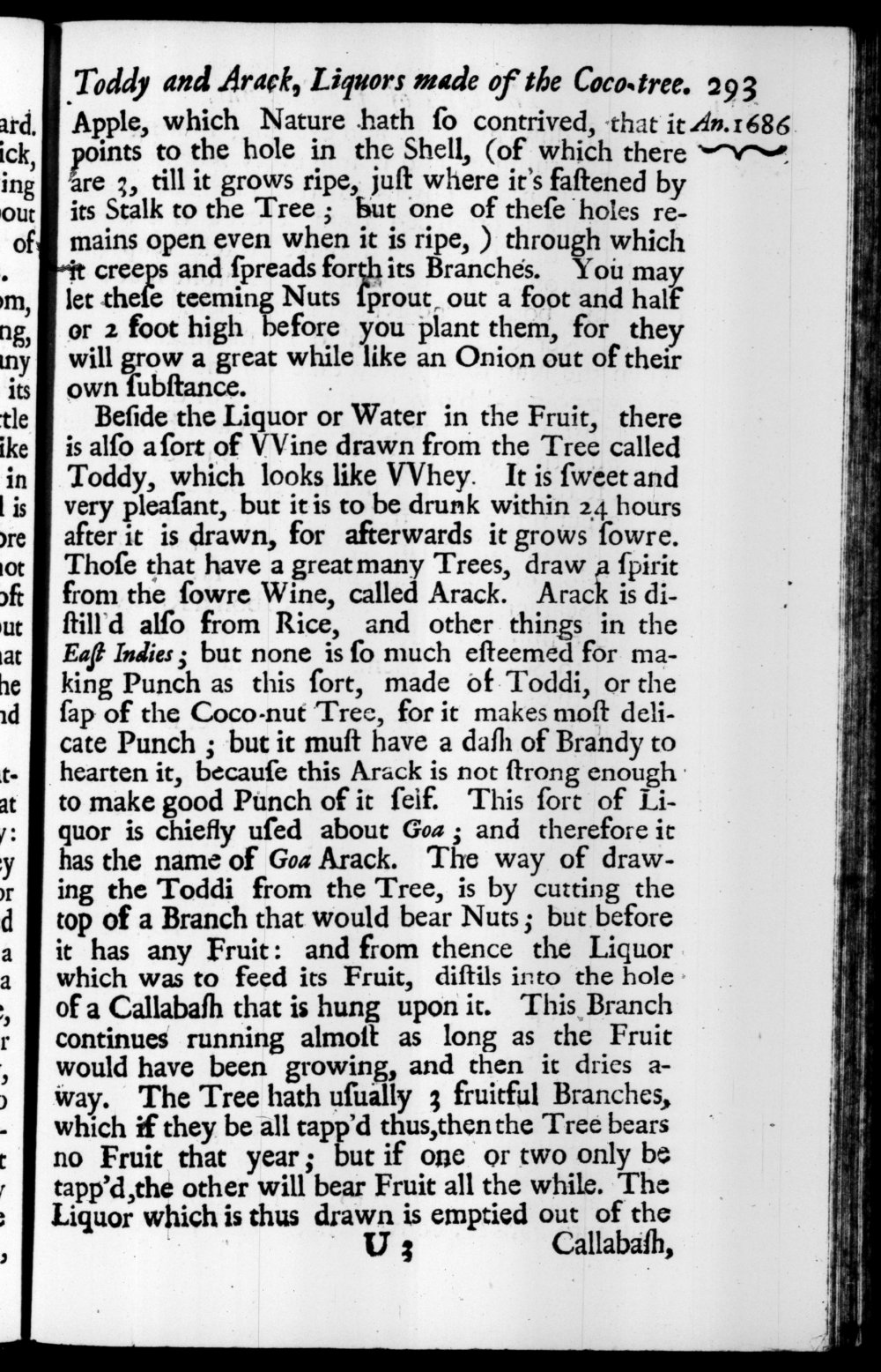 Page 293 screenshot of the book A New Voyage Round the World by William Dampier (1697 Edition).