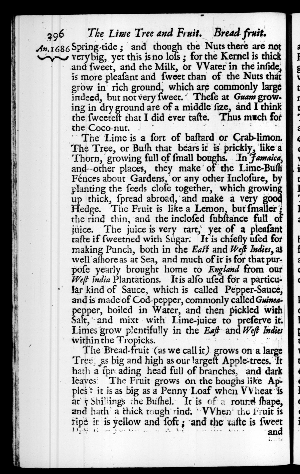 Page 296 screenshot of the book A New Voyage Round the World by William Dampier (1697 Edition).