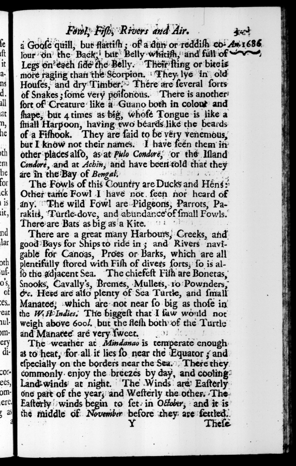 Page 321 screenshot of the book A New Voyage Round the World by William Dampier (1697 Edition).