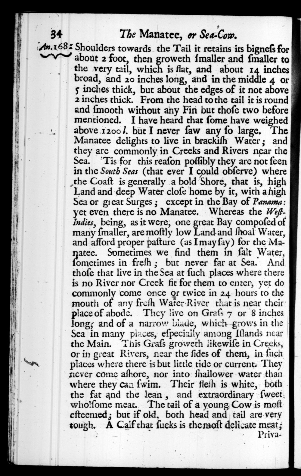 Page 34 screenshot of the book A New Voyage Round the World by William Dampier (1697 Edition).