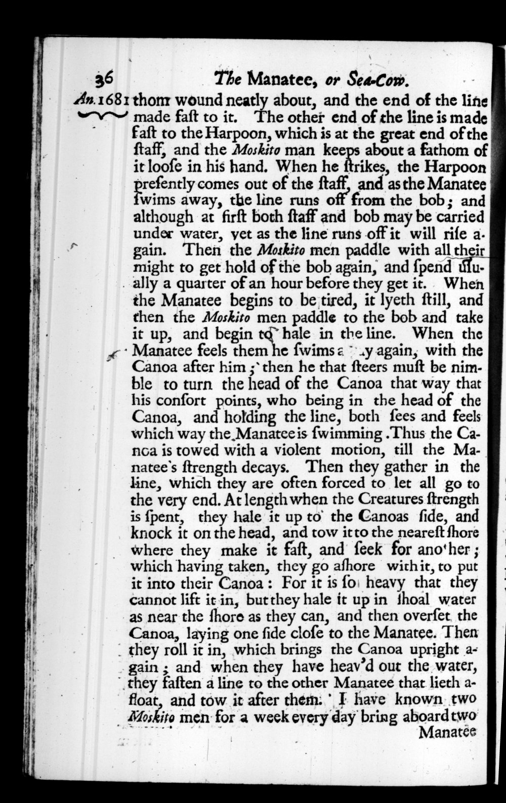 Page 36 screenshot of the book A New Voyage Round the World by William Dampier (1697 Edition).