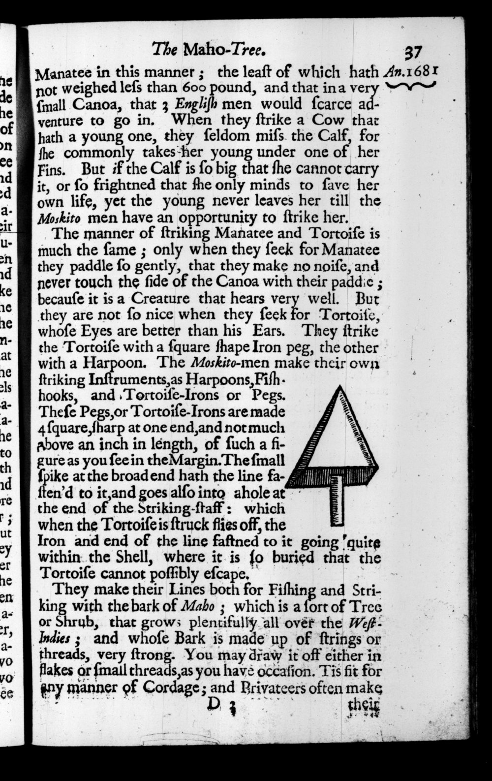 Page 37 screenshot of the book A New Voyage Round the World by William Dampier (1697 Edition).