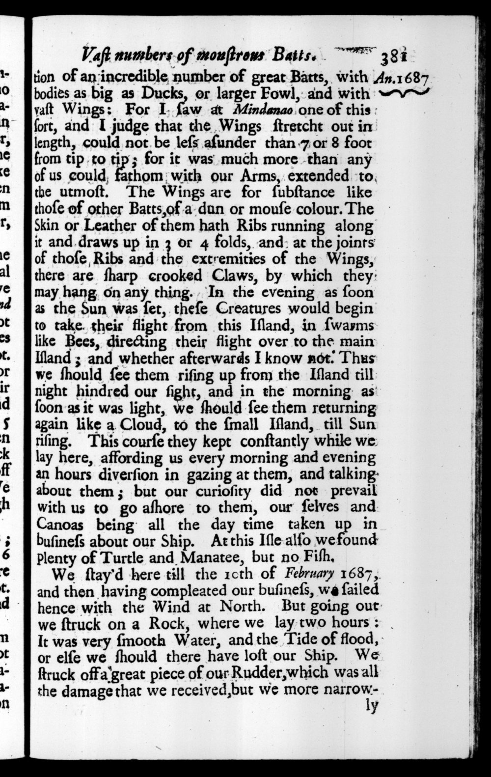 Page 381 screenshot of the book A New Voyage Round the World by William Dampier (1697 Edition).
