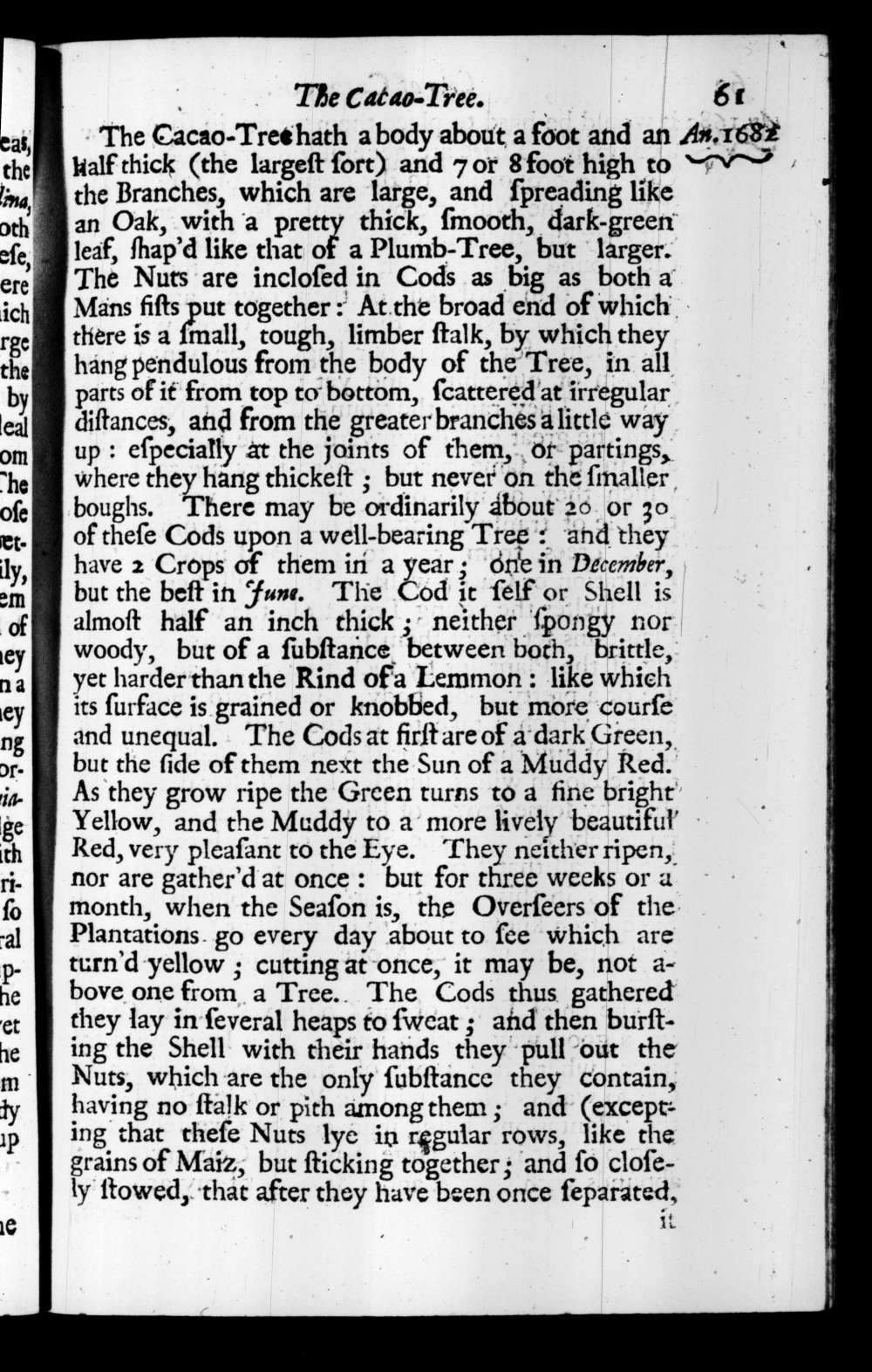 Page 61 screenshot of the book A New Voyage Round the World by William Dampier (1697 Edition).